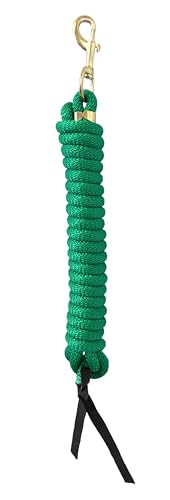 Nylon Training Lead Rope Leather Ends 14' w/Brass Swivel Snap (Green) - color: Green