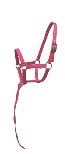 Nylon Foal Halter with Detachable 13" Catch - color: Dark Pink