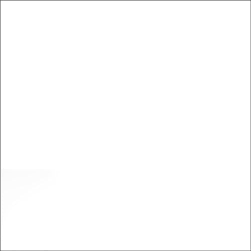 Rust-Oleum Professional 2X Inverted Marking Clear Spray Paint | Utility Marking, Construction Layout, Survey Marking, High Visibility Color, 2X Distance Coverage, 15 oz - color: Clear, size: 15 Ounce (Pack of 6), style: 2X Distance