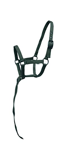 Nylon Foal Halter with Detachable 13" Catch - color: Dark Green