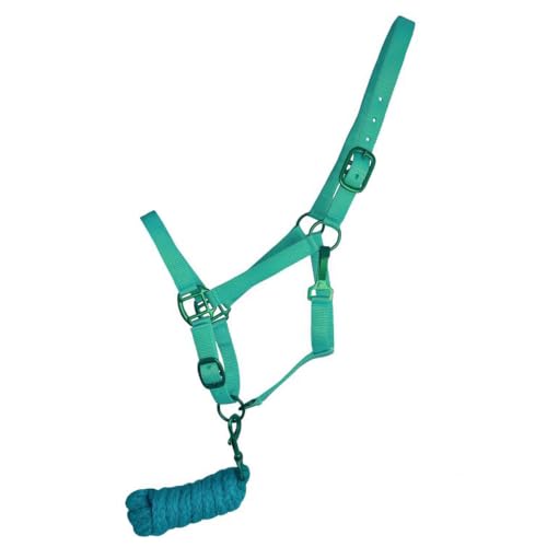 Showman Pony Triple Ply Nylon Halter w/Lead Rope - color: Teal
