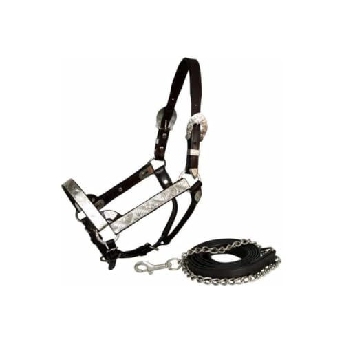 Showman Dark Brown Leather Full Size Horse Engraved Silver Show Halter w/Lead