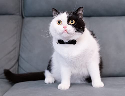 Collar for Cat Pet Breakaway with Bell Bowtie Detachable Bow Adjustable Safety Kitten Puppy Girl Boy 2pcs Plaid & Solid-Black - color: Plaid & Solid-Black