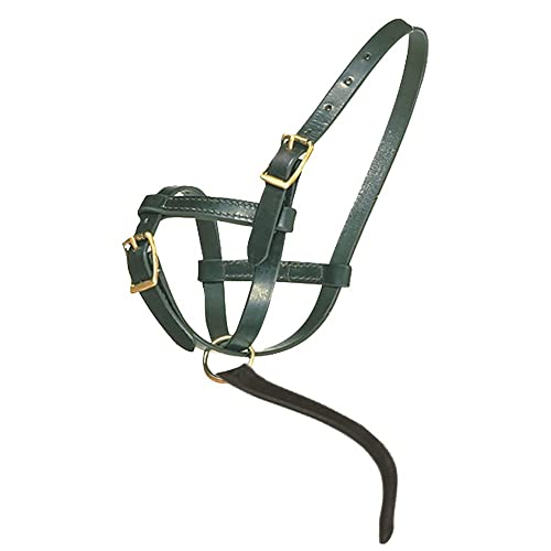 Schneiders Premier Leather Foal Halter for Horses - Newborn | Double Stitched Harness Leather | Soft Fit for Sucklings | Brass-Plated Hardware | Grab Strap for Leading