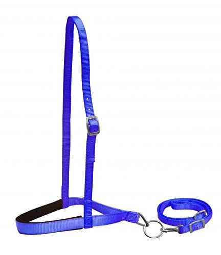 Showman Premium Nylon Noseband Tie Down w/Strap - color: Blue