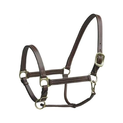 Camelot Leather Stable Halter, Color: Brown, Size: Cob (464283BRN-COB) - size: Cob