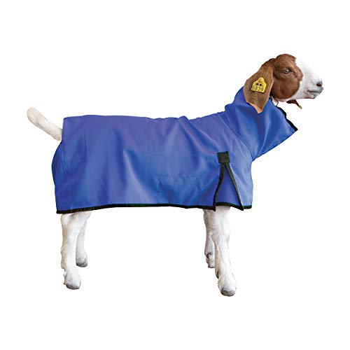 Goat Blanket, Extra-Small, Blue