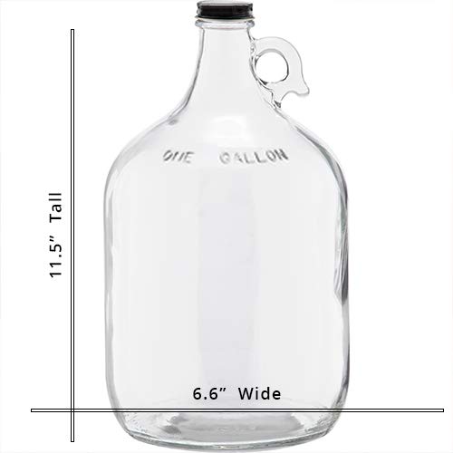 1 Gallon (128 oz) Clear Glass Jug With 38mm Cap - Pack of 6 | FAST SAME DAY SHIPPING