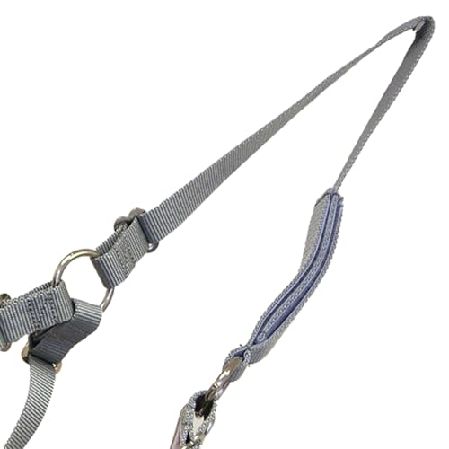 Best Friend Grazemore Grazing Muzzle - Includes Breakaway Horse Halter & Padded Noseband, Muzzle Promotes Natural Grazing, Prevents Laminitis & Obesity, Durable Design, Grey, Cob - size: Cob