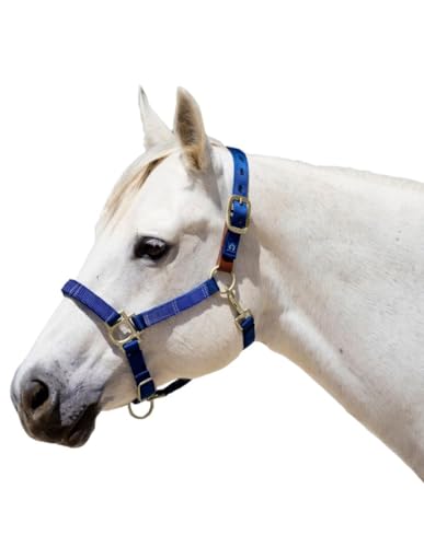 Kensington Premium Breakaway Halter with Padded Nose — Added Breakaway Safety Measures — Snap at Throat for Identical Fit Each Time - color: 205-Cosmic Blue, size: Large
