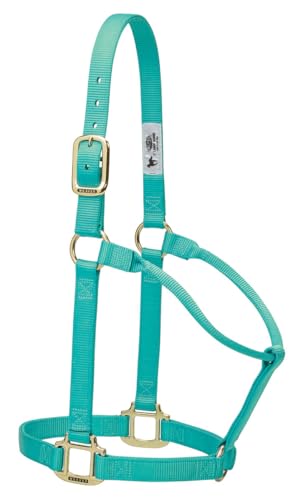 Weaver Leather Original Non-Adjustable Nylon Horse Halter, Large, Mint
