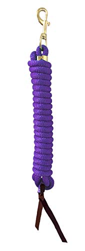 Nylon Training Lead Rope Leather Ends 14' w/ Brass Swivel Snap (Purple) - color: Purple