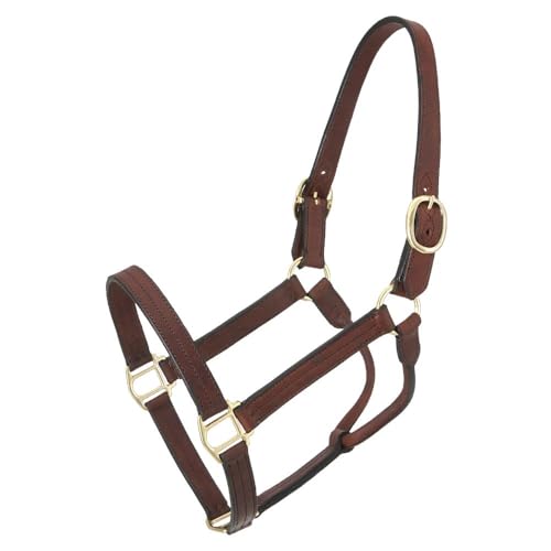 Royal King Leather Track Halter - size: Horse