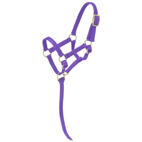 Tough1 Miniature Nylon Halter - color: Purple, size: Medium