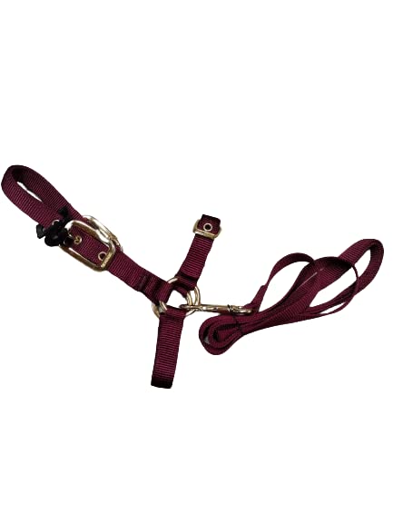Durable Nylon Sheep Halter w/Snap Lead - color: Burgundy