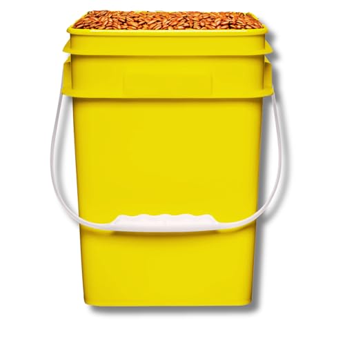 House Naturals 4 Gallon Square Food Grade Plastic Bucket with Lid, Made in USA (Pack of 2) BPA Free (Yellow) - color: Yellow