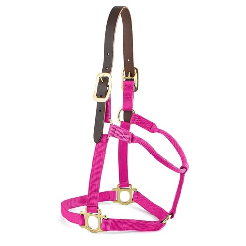 Premium Breakaway Nylon Halter with Leather Crown, Medium, Hot Pink