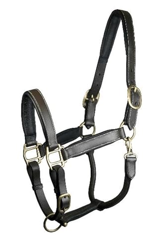 GATSBY LEATHER COMPANY 284211 Adjustable Padded Leather Halter Brown, Large Horse