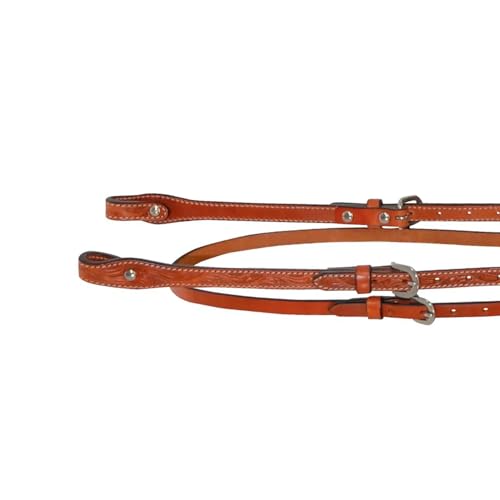 Circle Y Classic Floral Tooled Browband Headstall, Durable Double-Ply Leather Western Horseback Riding Headstall w/Stainless Steel Hardware, Adjustable Buckles, Chicago Screw Bit Ends - color: Regular