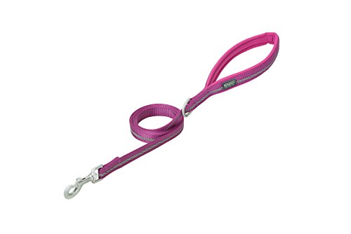 Terrain D.O.G. Reflective Neoprene Lined Dog Leash, Purple, 6-feet L x 3/4-inch W