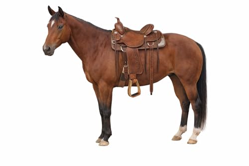 Horse Western Rawhide Covered Aluminum Saddle Roper Stirrups Tack 51175