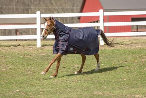 TuffRider 1200 D Comfy Winter Medium Weight Ripstop Turnout Blanket w/Detachable Neck- 200 GSM - color: Navy, size: 81