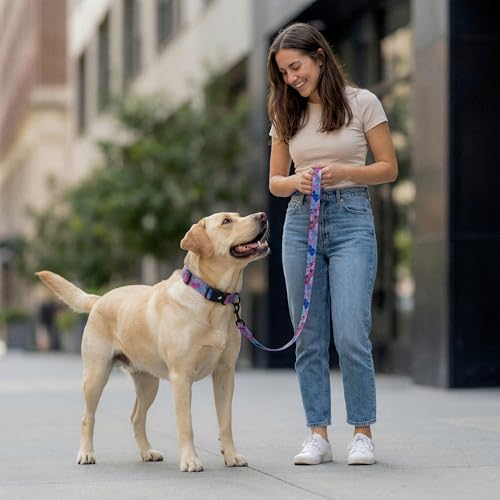 Tuff Pupper Premium Adjustable Dog Collar for Small Boy & Girl Dogs, Stylish Pattern Collars Designed in USA, Quick Release Buckle, PurpleHaze Print, Small (0.7 Inch Wide x 8-12 Inch Neck) - color: PurpleHaze, size: Small