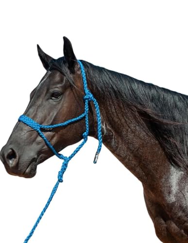 Cashel Flat Braid Halter and Leadrope - color: Blue