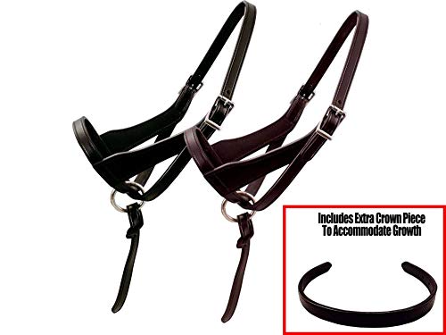 Derby Originals Paris Tack Double Layered Leather Grow with Me Adjustable Horse Foal Halter with Extra Crown Piece - color: Black