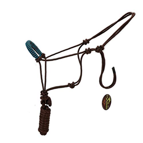 Southwestern Rope Halter and Lead with Designer Braided Nose Band Equine - color: Brown & Turquoise