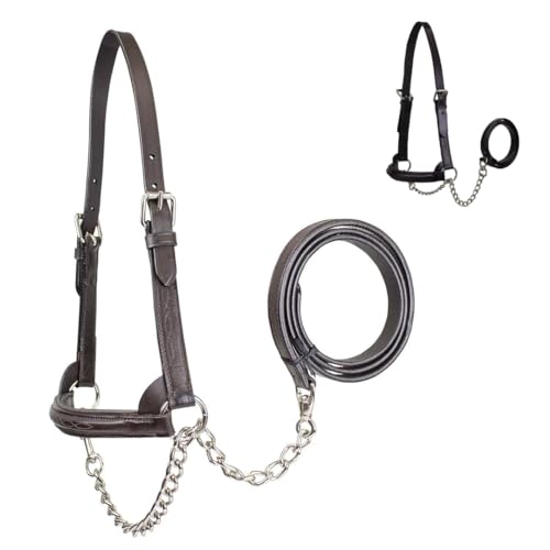 Derby Originals Premium Raised Padded Fancy Stitch Leather Cattle Show Halter with Matching Chain Lead - color: Black, size: Large (950lbs-1500lbs)