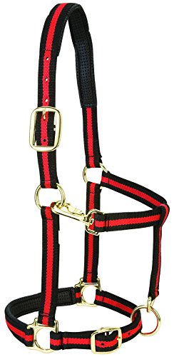 Weaver Leather Padded Adjustable Nylon Horse Halter, Red, 1" Small Horse