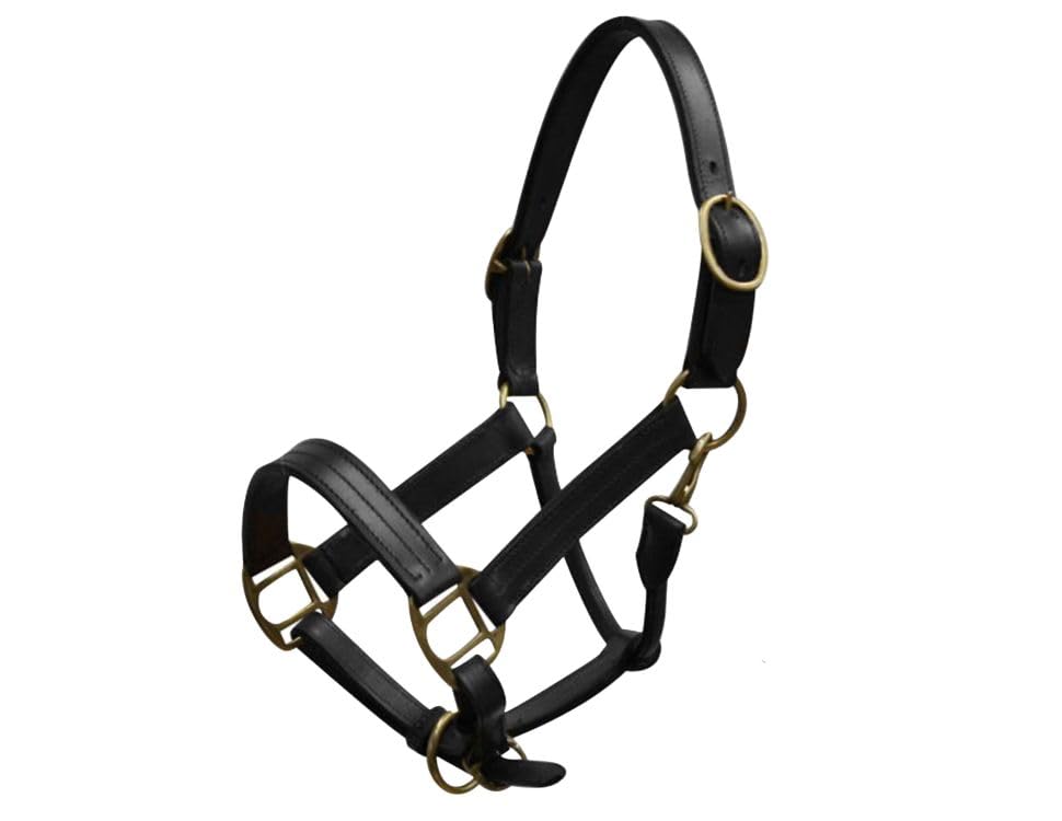 Yearling Leather Halter w/Brass Hardware - color: Black