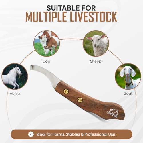 Equine Care Right-Handed Farrier Hoof Knife, Sheesham Wood Handle - style: Right Handed