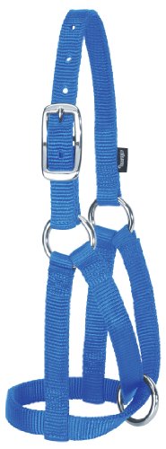 Weaver Leather Unisex Adult Livestock Llama Halters Blue Full, Blue, Medium US