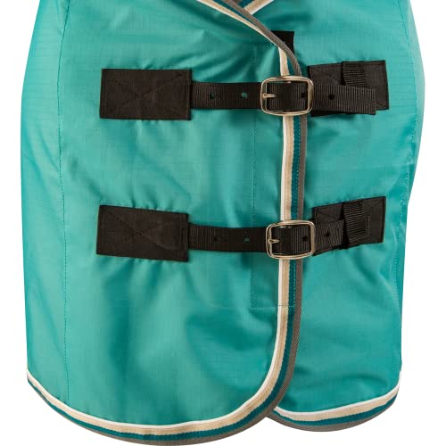 Classic Equine Classic Stable Sheet with Open Front, Turquoise, Small (CENS22TQS) - color: Turquoise, size: Small