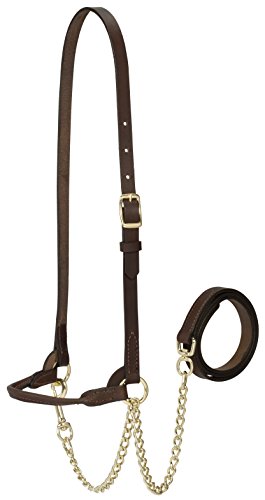 Weaver Livestock Leather Dairy Show Cattle Halter, Adjustable, Modern Style Cow Calf Halter, Livestock Handling Equipment for Showing, Brown