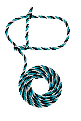 Weaver Leather LivestockWeaver Leather Livestock Goat Halter, Blue, 3/4" Large - color: Teal/Black/Gray