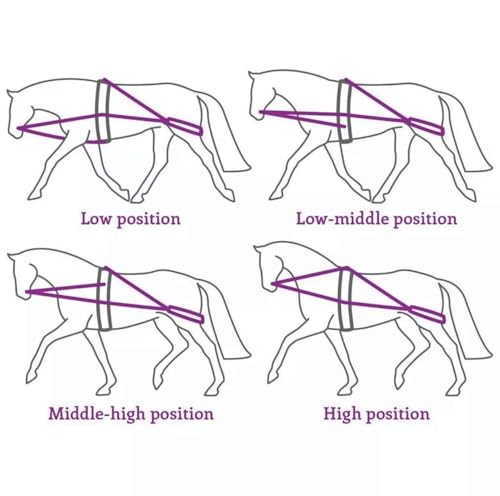 Leaders Training or Lungeing Aid for Horse - color: White