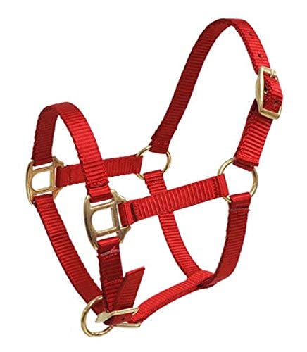 Showman FOAL/MINI Premium Nylon Halter w/Brass Hardware - color: Red