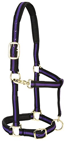 Weaver Leather Padded Adjustable Nylon Horse Halter, Purple, 1" Small Horse