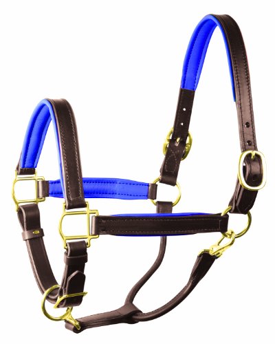 Perri's Soft Padded Leather Halter - color: Havana/Blue, size: Cob