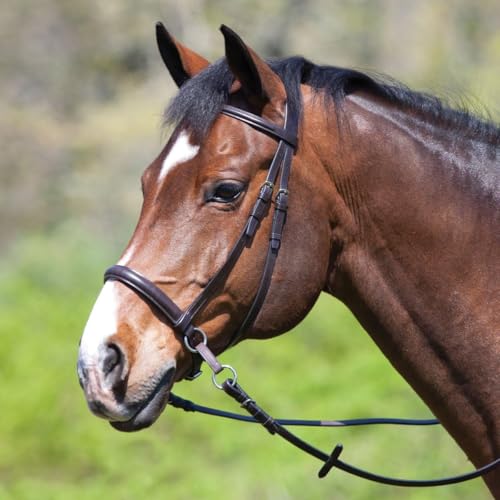 English Headstall Bridle Reins Cowhide Genuine Leather Horse Crossover Crossunder Raised Fancy Stitched Laced All Purpose Jumping Dressage Rubber Crystal Padded Adjustable Browband Full