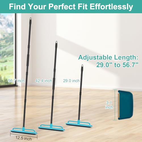 Carpet Rake Pet Hair Removal Tool with 56" Long Handle