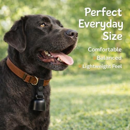 kcrygogo All-Black Dog Bell Set with Genuine Leather Strap, Matte Black Loud Jingle Bell, High-End Stylish Design, Quick Clip, Fits Most Dog Collars, Includes 2 Bells & 2 Pet ID Trackers