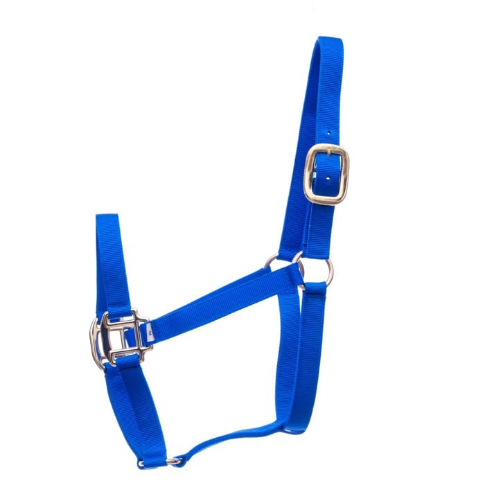 Jeffers Weanling Premium Halter #13 Color: Royal Blue - color: Royal Blue