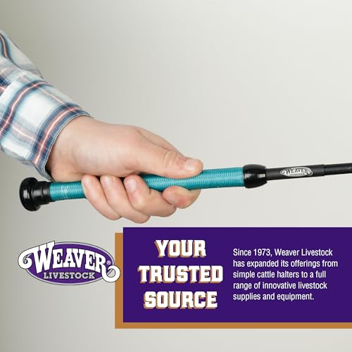Weaver Livestock Basic Pig Show Whip, Hog Livestock Whip with Braided Nylon Handle, Leather Popper, Lightweight Braided Shaft - color: 36" - Teal