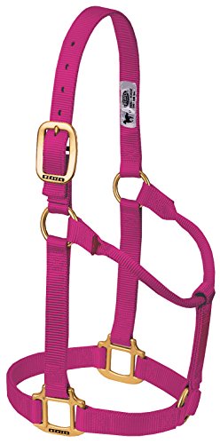 Weaver Leather Original Non-Adjustable Nylon Horse Halter, Small, Raspberry