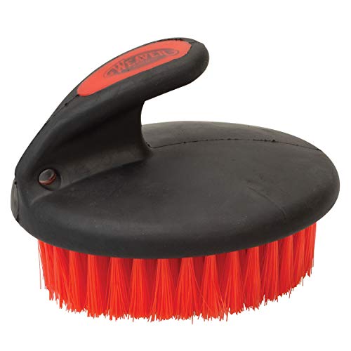 Weaver Equine Palm Held Face Brush with Soft Bristles
