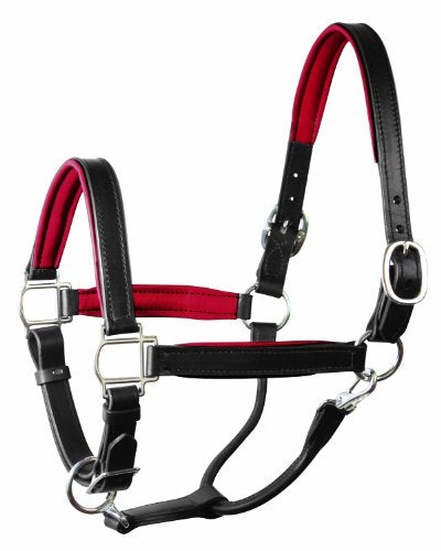 Perri's Horse Soft Padded Leather Halter - color: Black/Red